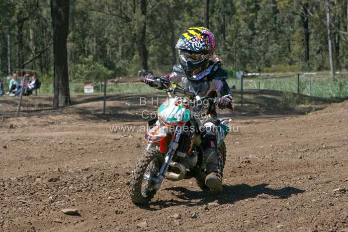 678x444 pixels (80K)